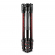 Штатив Manfrotto Befree Advanced MKBFRTA4RD-BH с шаровой головой, поворотные фиксаторы, красный Штатив Manfrotto Befree Advanced MKBFRTA4RD-BH с шаровой головой, поворотные фиксаторы, красный