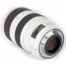 Canon EF 70-300mm f/4.0-5.6L IS USM 