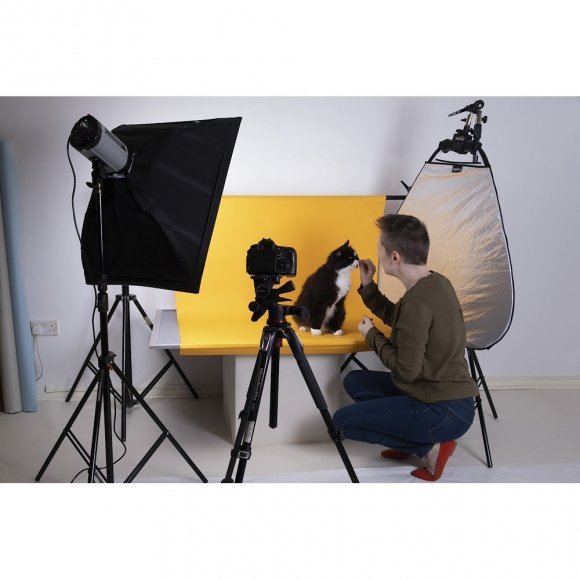 Бумажный фон Colorama CO594 Sunflower 1,35 × 11 м, оранжево-жёлтый (подсолнух) Бумажный фон Colorama CO594 Sunflower 1,35 × 11 м, оранжево-жёлтый (подсолнух)